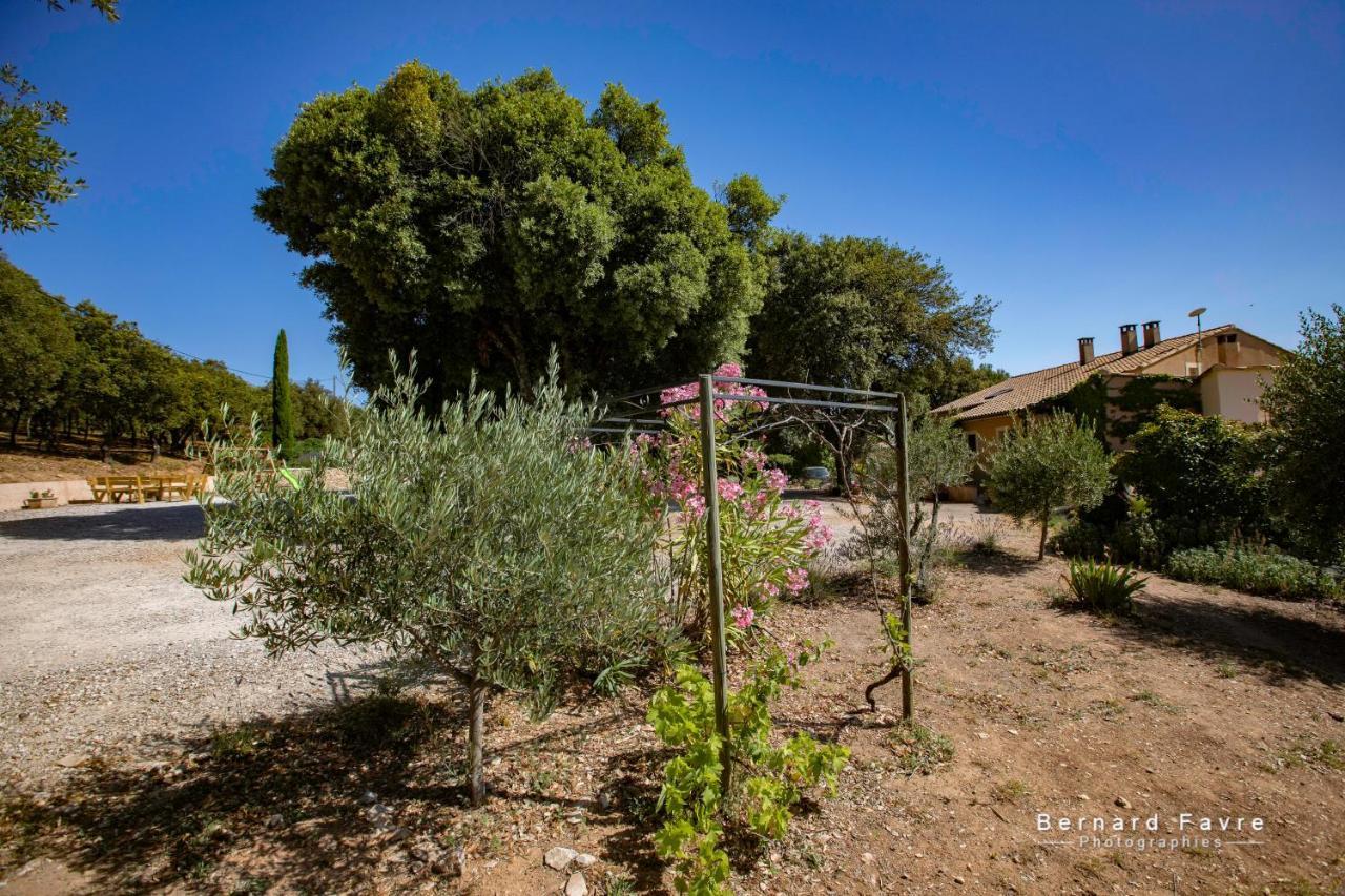 Mas Saint Antoine Villa Bourg-Saint-Andeol Bagian luar foto